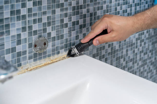 Best Best Mold Removal Companies  in Deerfield Beach, FL